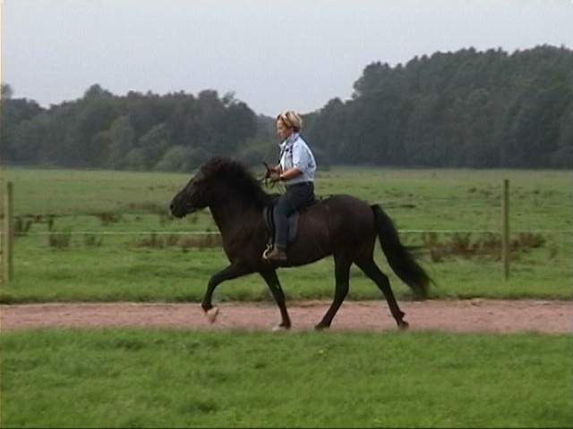 Hrimdisberitt Hrimdisberitt